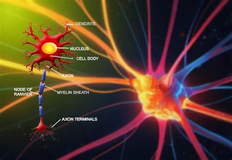 zeposa|Relapsing Multiple Sclerosis Treatment 